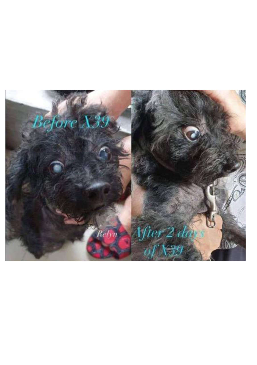 Strona 1 – Fototerapia Ogrody Spa