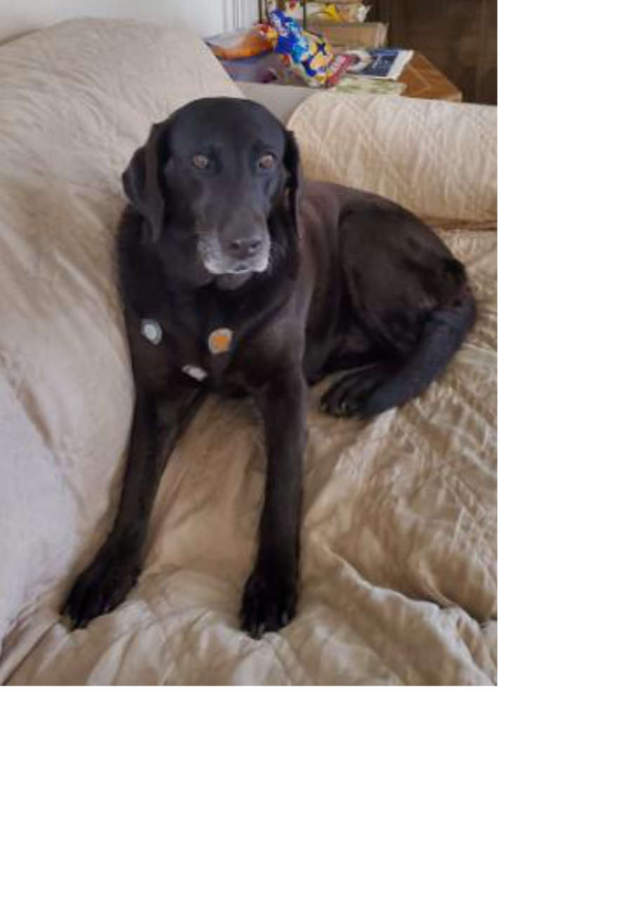 Strona 3 – Fototerapia Ogrody Spa