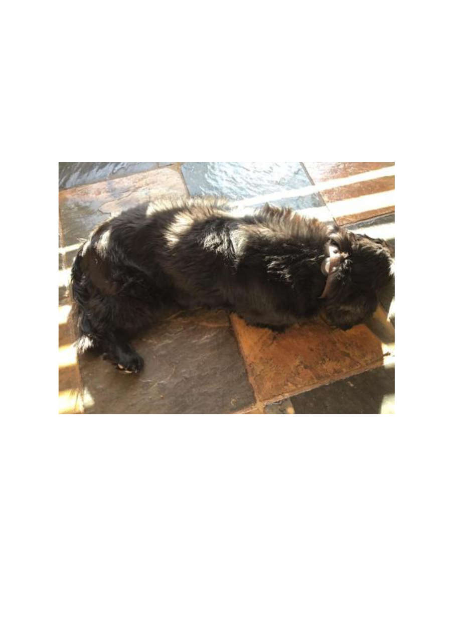 Strona 6 – Fototerapia Ogrody Spa