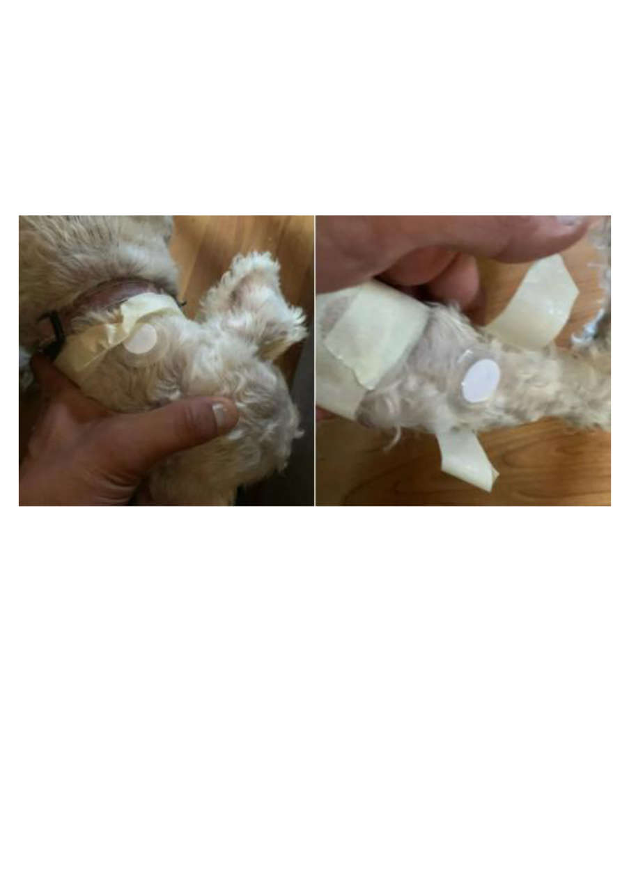 Strona 7 – Fototerapia Ogrody Spa