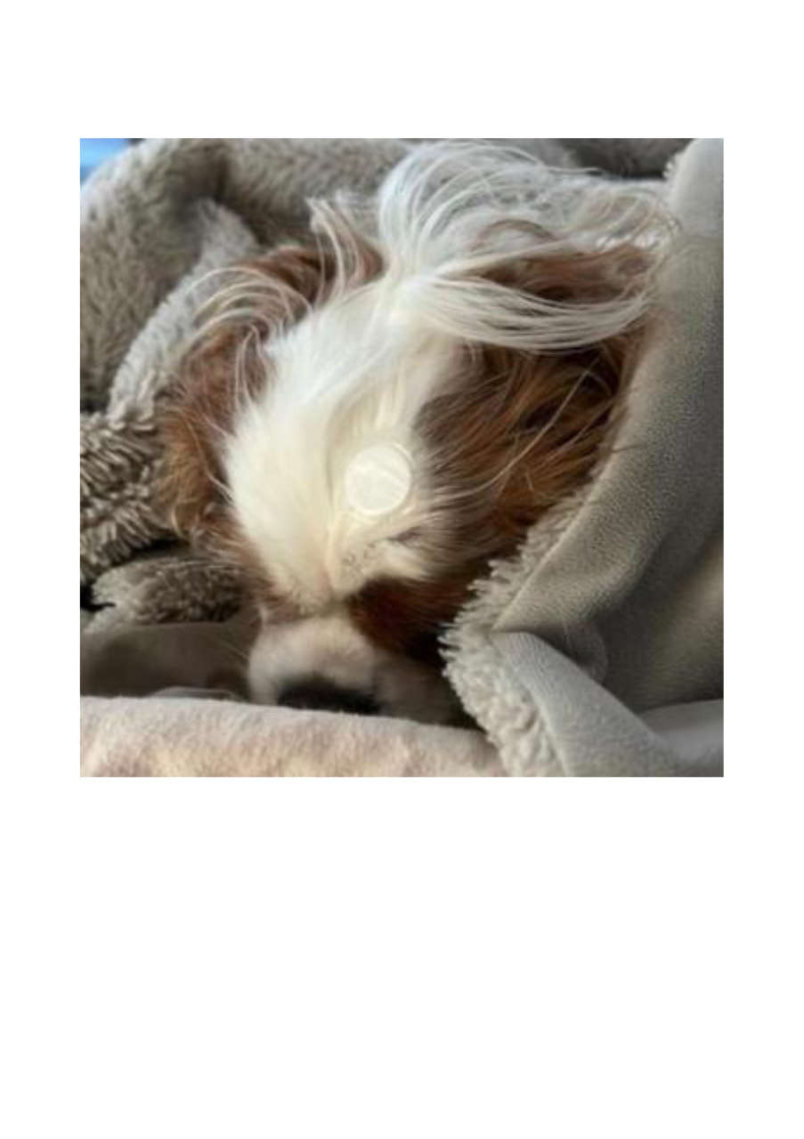 Strona 10 – Fototerapia Ogrody Spa