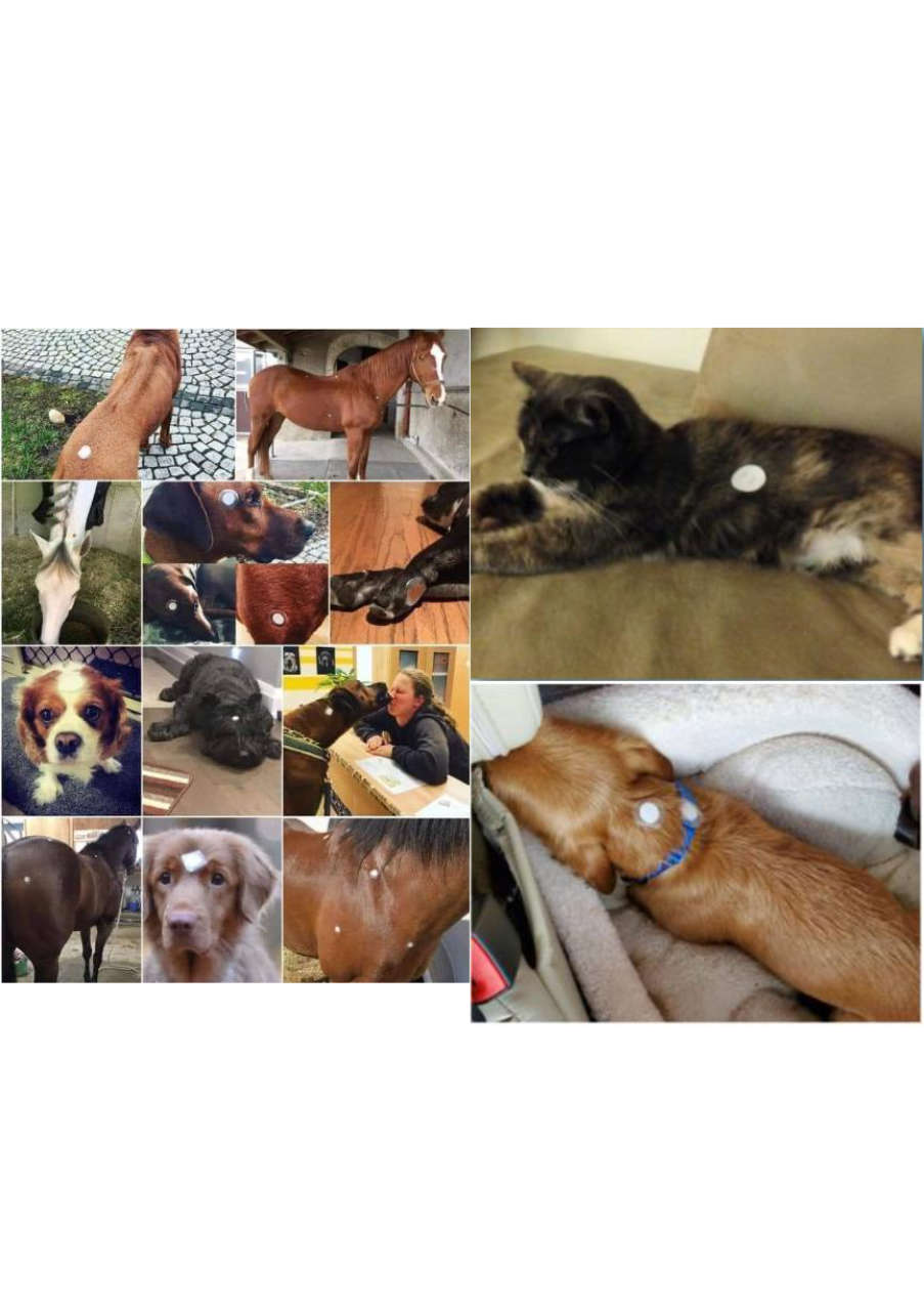 Strona 1 – Fototerapia Ogrody Spa